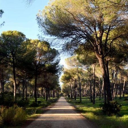 Suite En El Corazon De Donana Эль-Росио Экстерьер фото